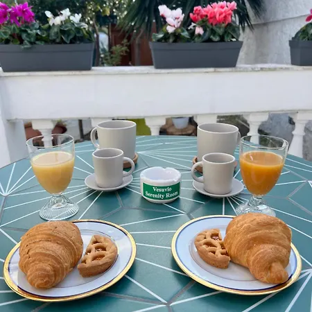 Vesuvioserenity- B&B With Breakfast & Free Parking 4* Ercolano