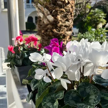 Vesuvioserenity- B&B With Breakfast & Free Parking