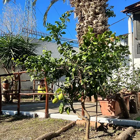 Vesuvioserenity- B&B With Breakfast & Free Parking